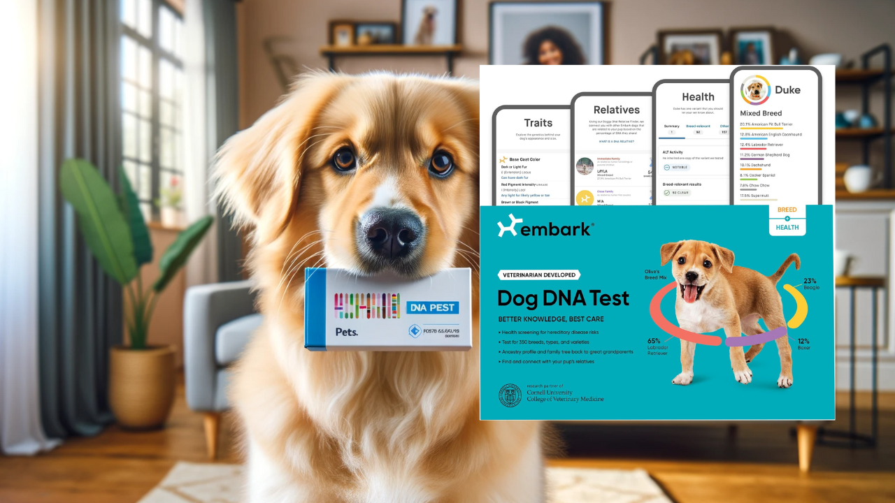 Embark Dog DNA Test Review [2023 - 2024]